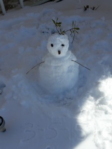 snowgirl 2